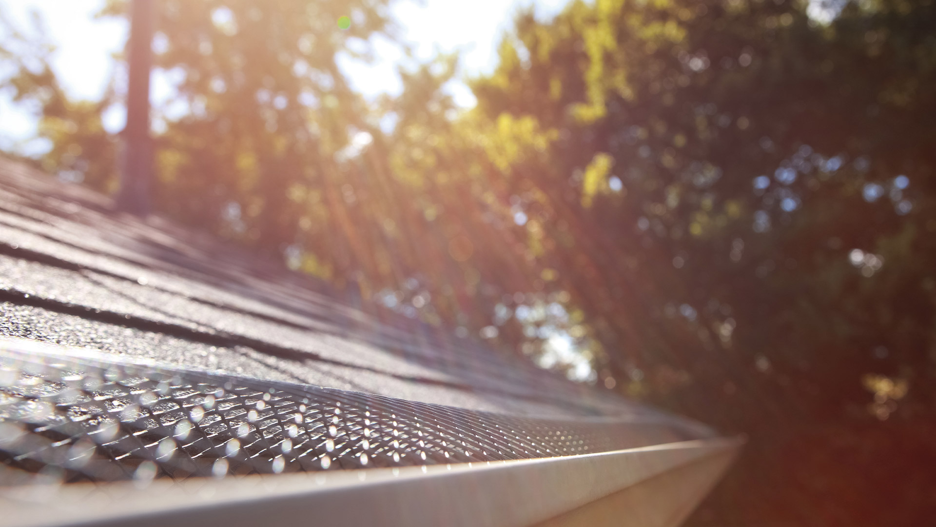 gutter installation service ruckersville va
